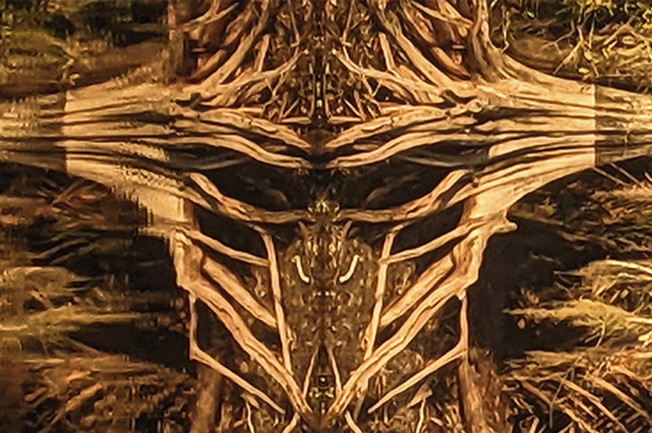 From Beyond 